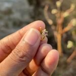 Floral adjustable nosepin NO004