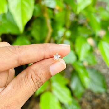 Big Stone Star Stud (pair)