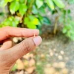 white helix stud ST007(pair)