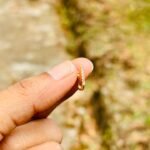 Adjustable Thin Nosepin