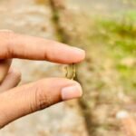 adjustable thin nosepin