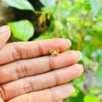 Butterfly nosepin