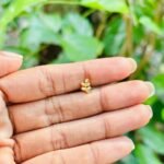 Leaf nosepin