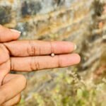 single stone nosepin
