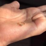 single stone nosering